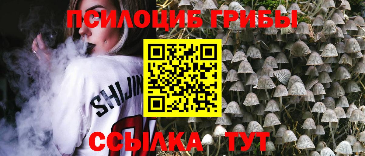 Междуреченск  Галлюциногенные грибы мухоморы  Вход с VPN 