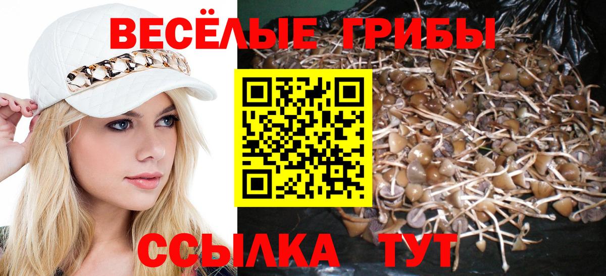Галлюциногенные грибы MAGIC MUSHROOMS Междуреченск
